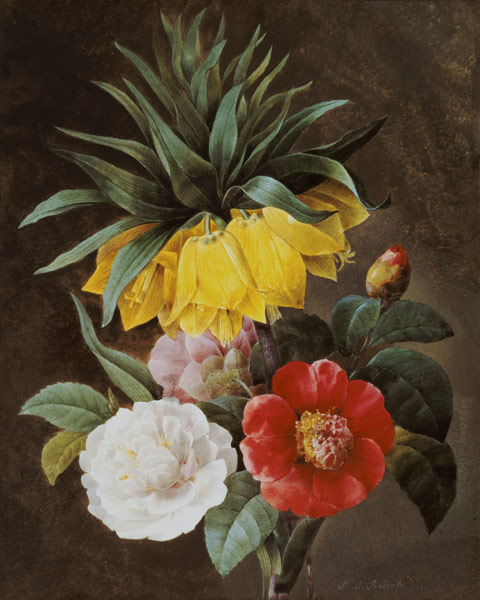 Exotic Flowers von Pierre Joseph Redouté