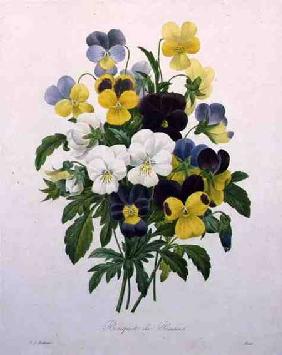 Bouquet of Pansies, engraved by Victor, from 'Choix des Plus Belles Fleurs' 1827