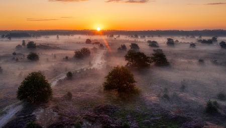 Goldener Sonnenaufgang