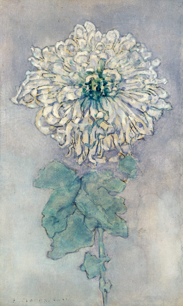 Chrysanthemum von Piet Mondrian