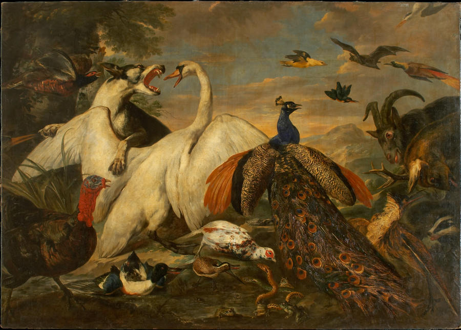 Kampf der Tiere als Tugend-Laster-Allegorie von Pieter Boel