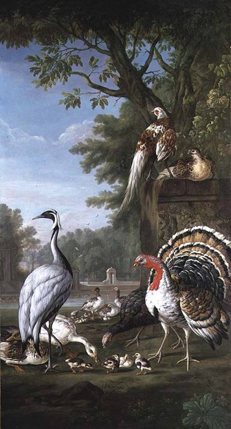 Group of Exotic Birds von Pieter Casteels