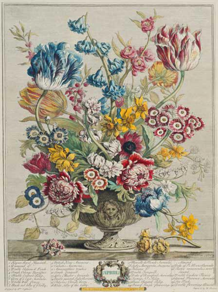 April, from 'Twelve Months of Flowers', by Robert Furber (c.1674-1756), engraved by Henry Fletcher ( 1730