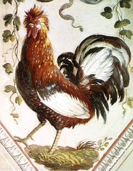 Detail of a cockerel von Pietro Rotati