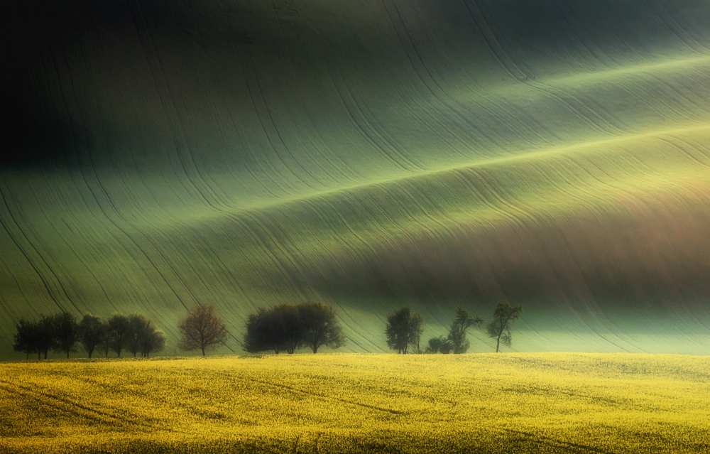 spring fields von Piotr Krol (Bax)