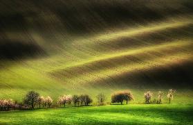 Moravian Fields