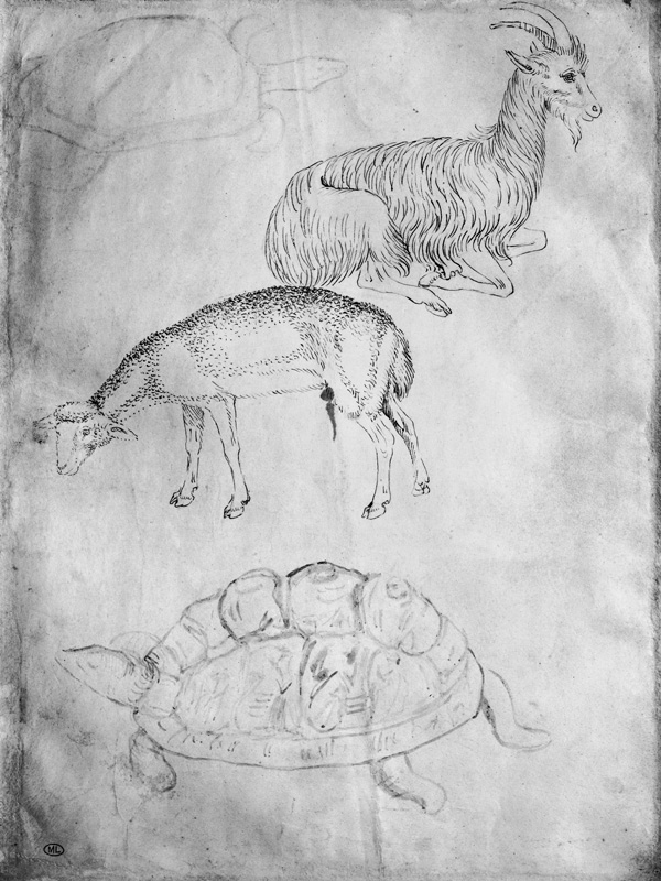 Two tortoises, goat and sheep, from the The Vallardi Album von Pisanello