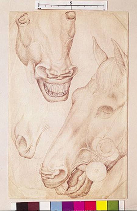 Heads of Horses (pen & ink on paper) von Pisanello