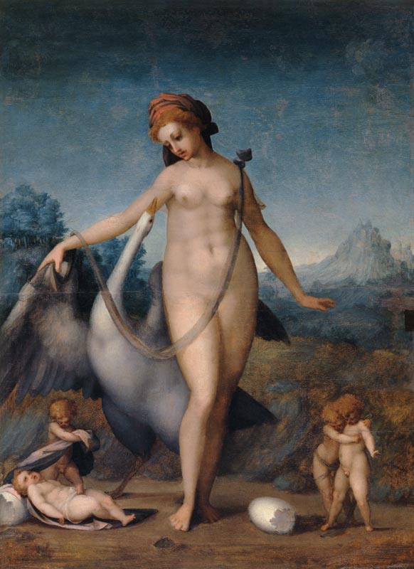 Leda and the Swan von Jacopo Pontormo, Carucci da