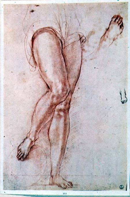 Study of a pair of legs and two feet for a figure of St. Michael (red chalk with pen & ink) von Jacopo Pontormo, Carucci da