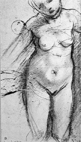 Knee Length Study of a Nude Woman