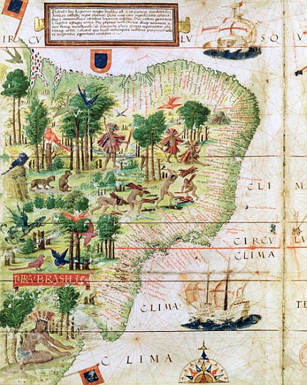 Brazil from the ''Miller Atlas'' Pedro Reinel, c.1519 (detail of 75615) von Portuguese School