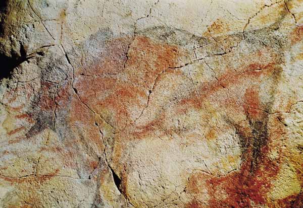 Bison, from the Caves at Altamira von Prehistoric