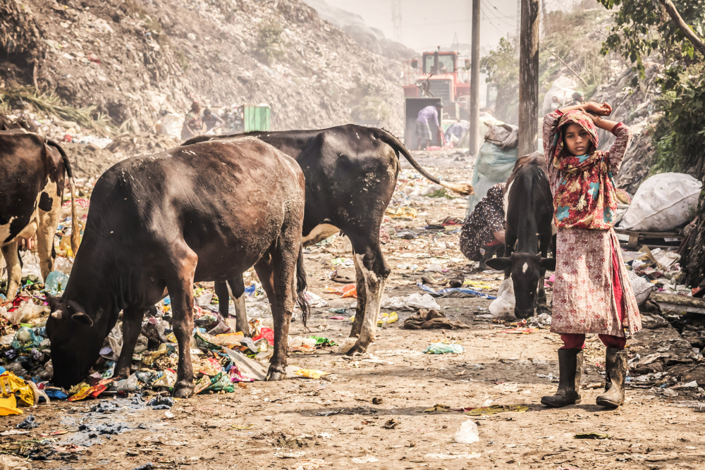 Cittagong-Müllfeld von Radana Kucharova