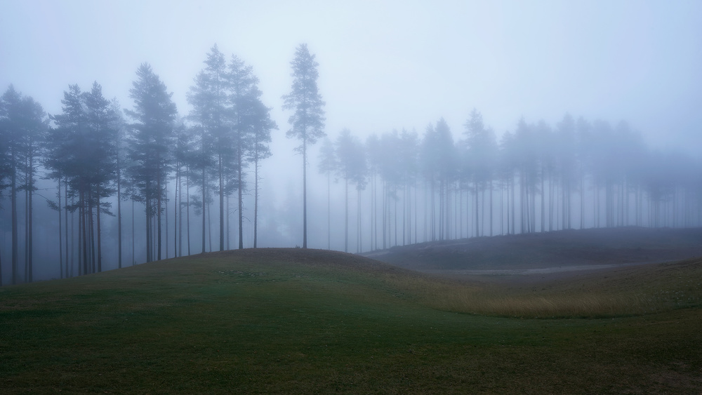 Nebeliger Wald von Rafal Kaniszewski