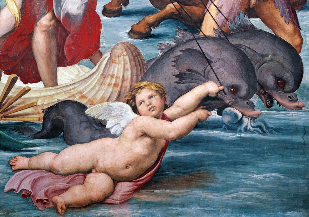 Galatea, detail of putto and dolphins von Raffael - Raffaello Santi