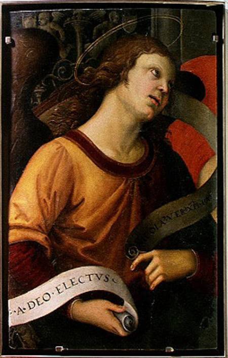 Angel, from the polyptych of St. Nicolas of Tolentino von Raffael - Raffaello Santi