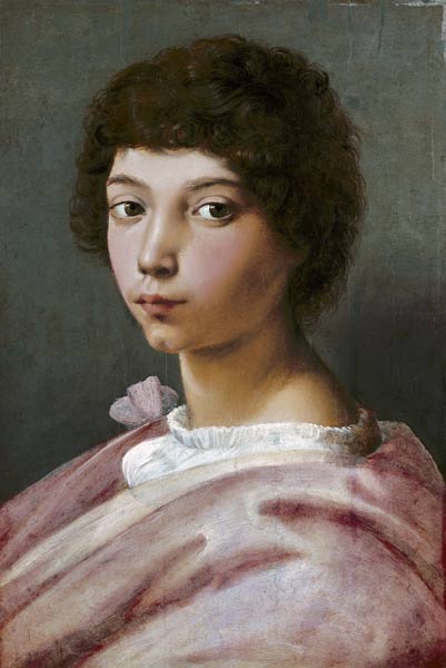 Porträt eines jungen Mannes von Raffael - Raffaello Santi