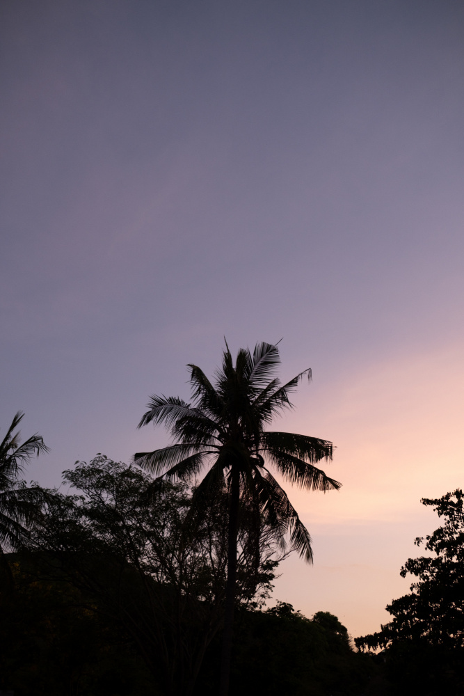 Lombok-Sonnenuntergang von Raisa Zwart