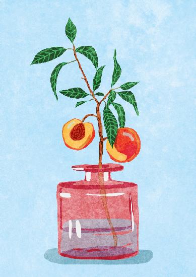 Pfirsichbaum in Vase