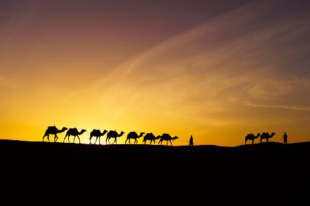 Sonnenaufgangssilhouette von Kamelen und Hundeführer,Merzouga