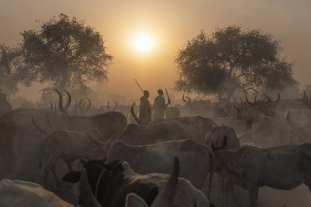 Sonnenuntergang im Rinderlager Mundari,Südsudan