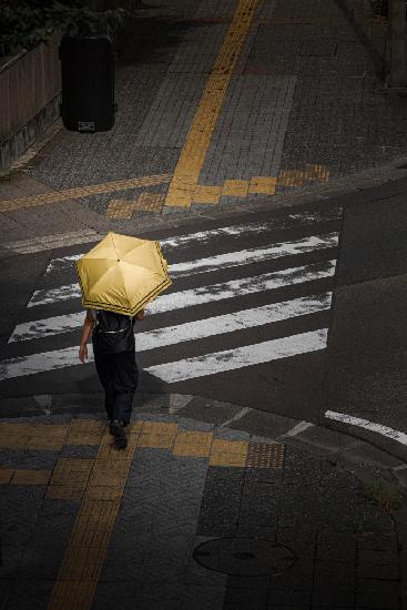 Gelber Regenschirm