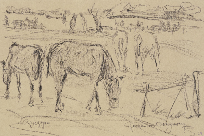 Weidende Pferde in Rzeczyca, Russisch-Polen von Reinhard Pfaehler von Othegraven