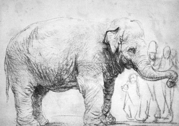 Ein Elefant ( Elefantenkuh Hansken) von Rembrandt van Rijn