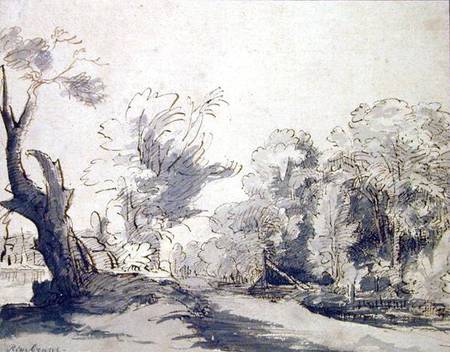 Landscape (pen and ink and wash on paper) von Rembrandt van Rijn