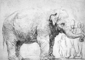 Ein Elefant ( Elefantenkuh Hansken) um 1637