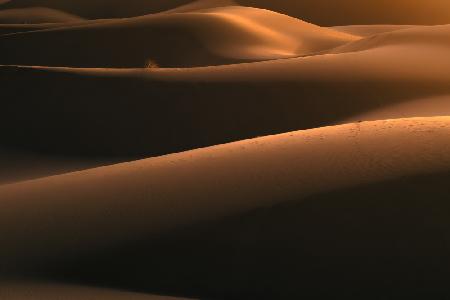 Licht in der Wüste
