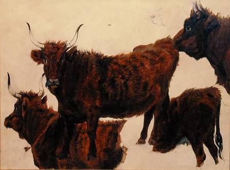 Studies of Highland Cattle von Richard Ansdell