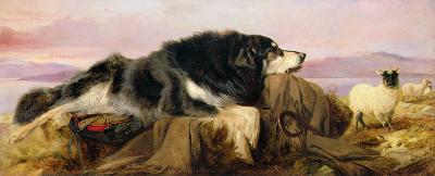 The Shepherd's Dog 1869