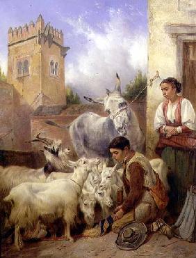 Feeding Goats in the Alhambra 1871