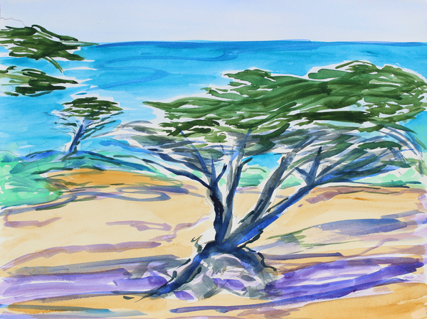 Cypress Tree, Carmel Bay von Richard Fox