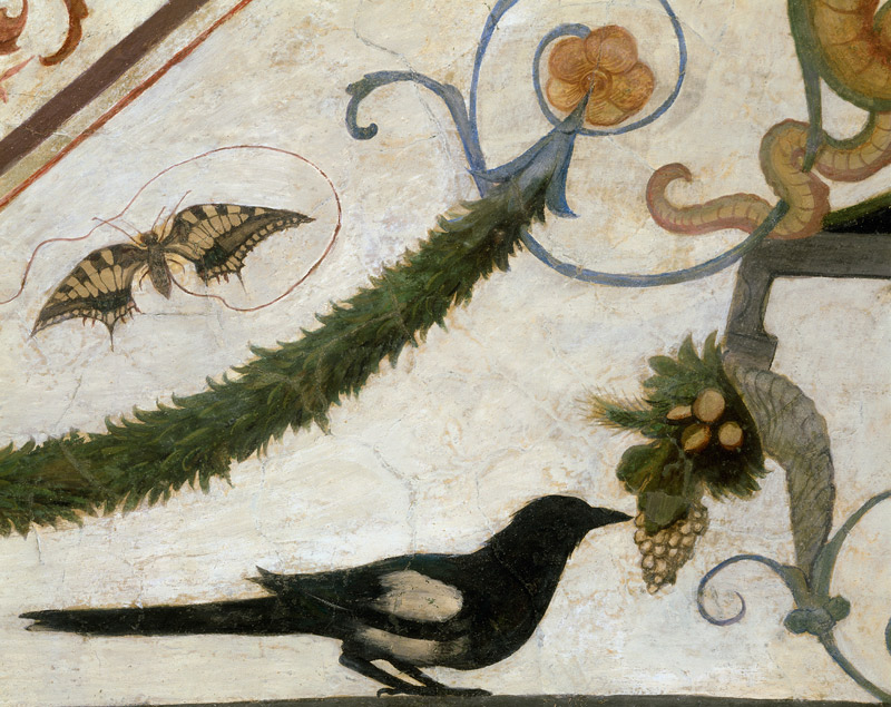 Vogel und Schmetterling von Ridolfo Ghirlandaio