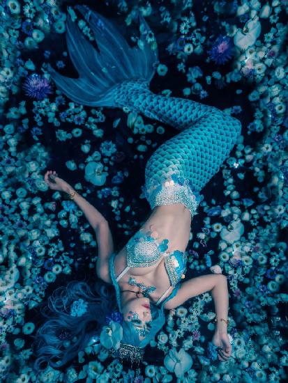 Eine Meerjungfrau träumt von einem Sternenhimmel