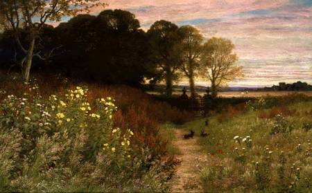 Landscape with Wild Flowers and Rabbits von Robert Collinson