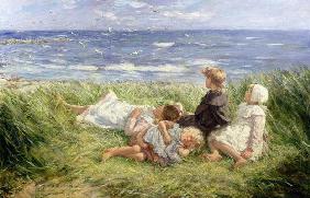 Sea Gulls and Sapphire Seas, 1912 (oil on canvas) 19th