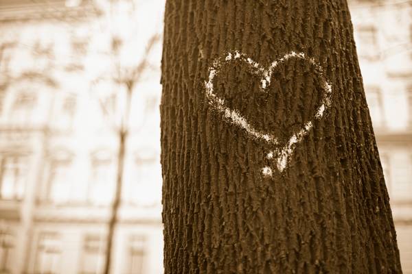 Gezeichnetes Herz auf einem Baumstamm von Robert Kalb