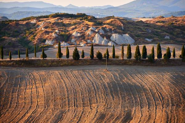 Landschaft in der Toskana mit Zypressenreihe von Robert Kalb