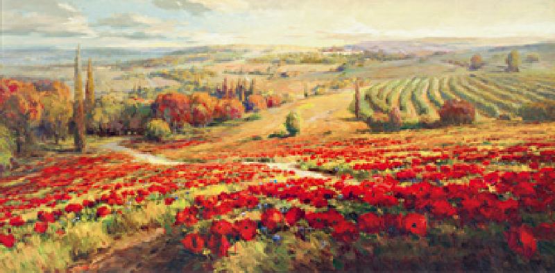 Red Poppy Panorama von Robert Lombardi