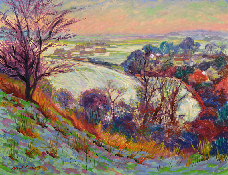 The Downs in Winter  von Robert  Tyndall