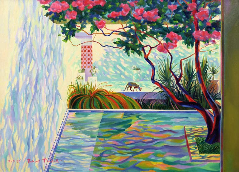 Cat in a Mexican Garden von Robert  Tyndall