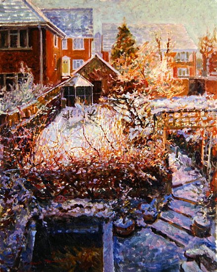Sussex Garden in Winter  von Robert  Tyndall
