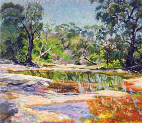 Wirreanda Creek, New South Wales, Australia (oil on canvas) 