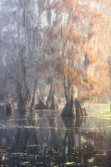 Louisiana-Sumpf