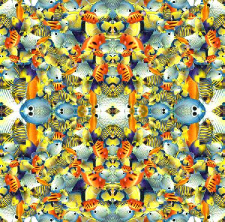 Kaleidoscope Fish Tile 2016