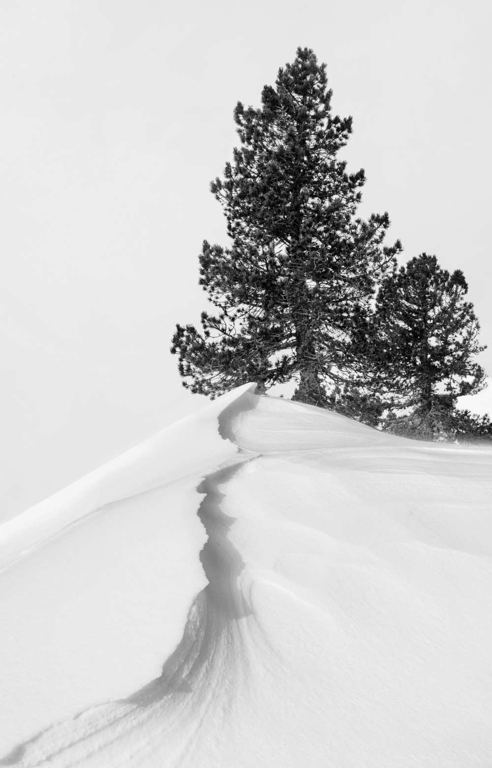 About the snow and forms von Rodrigo Núñez Buj